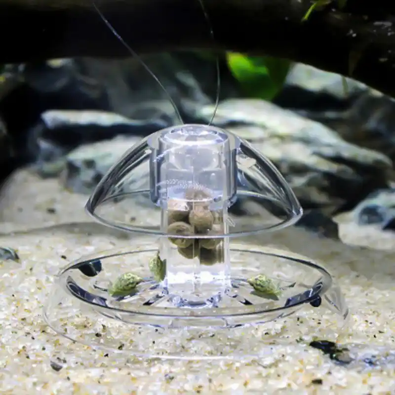 1pcs Reptile Tank Cleaning Tools Transparent Snail Catcher For Aquariums