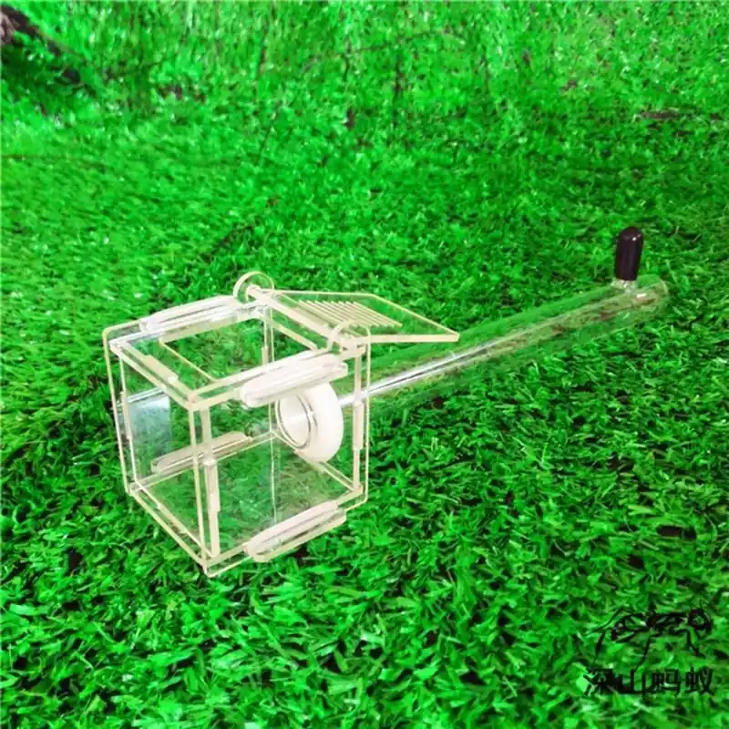 Mini Acrylic Ant Farm With Active Insect House And Glass Tube Nest