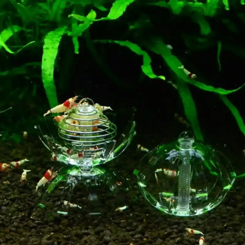 Multifunction Aquarium Feeding Bowl For Moss Balls And Spinach