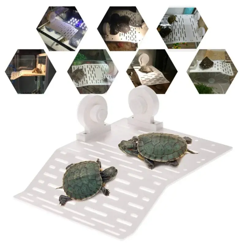 Durable Floating Turtle Basking Platform With Suction Cup For Aquarium Tanks