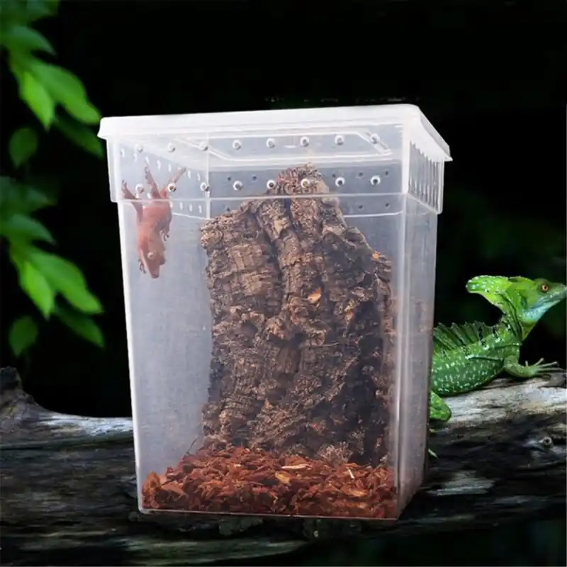 Reptile Terrarium Transparent Feeding Breeding Cage For Snakes Lizards Spiders
