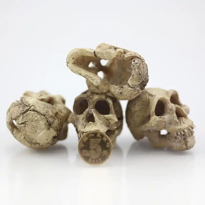 Artificial Rhino Skull Resin Decor Reptile Cave Aquarium Terrarium Ornament