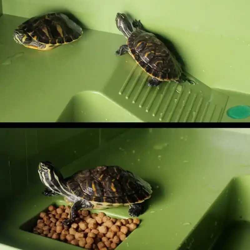 Floating Turtle And Frog Island Reptile Aquarium Habitat Ornament25