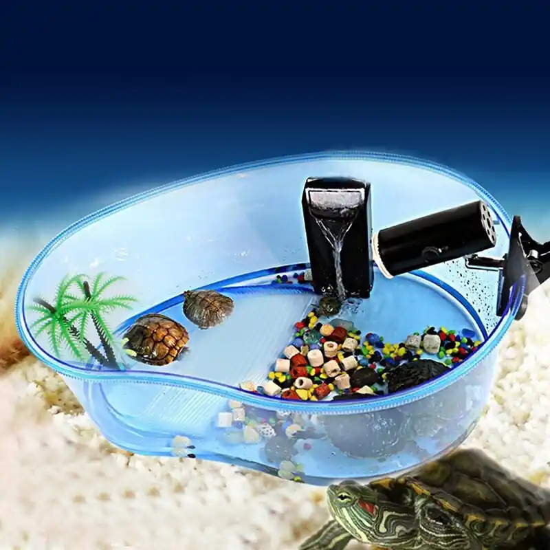 Turtle Vivarium Aquarium Tank With Terrapin Platform Reptile Habitat Plants