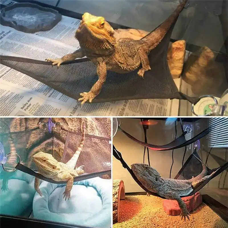 2piece Reptile Hammock Set Oxford Fabric Sleeping Bed Toy Swing For Snakes Lizards Hermit Crabs