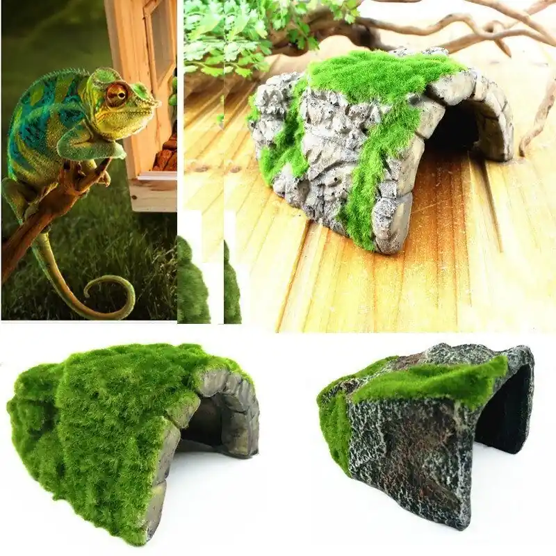 Realistic Reptile Moss Platform Tortoise Sun Terrace Spider Turtle Nest Cave