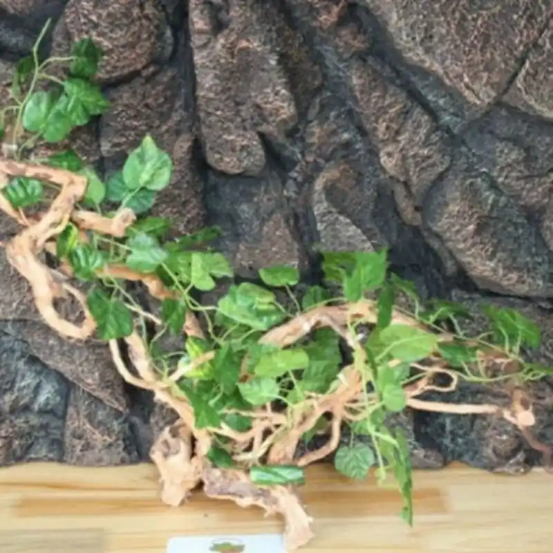 Natural Rattan Reptile Aquarium Wood Decoration For Rainforest Landscaping