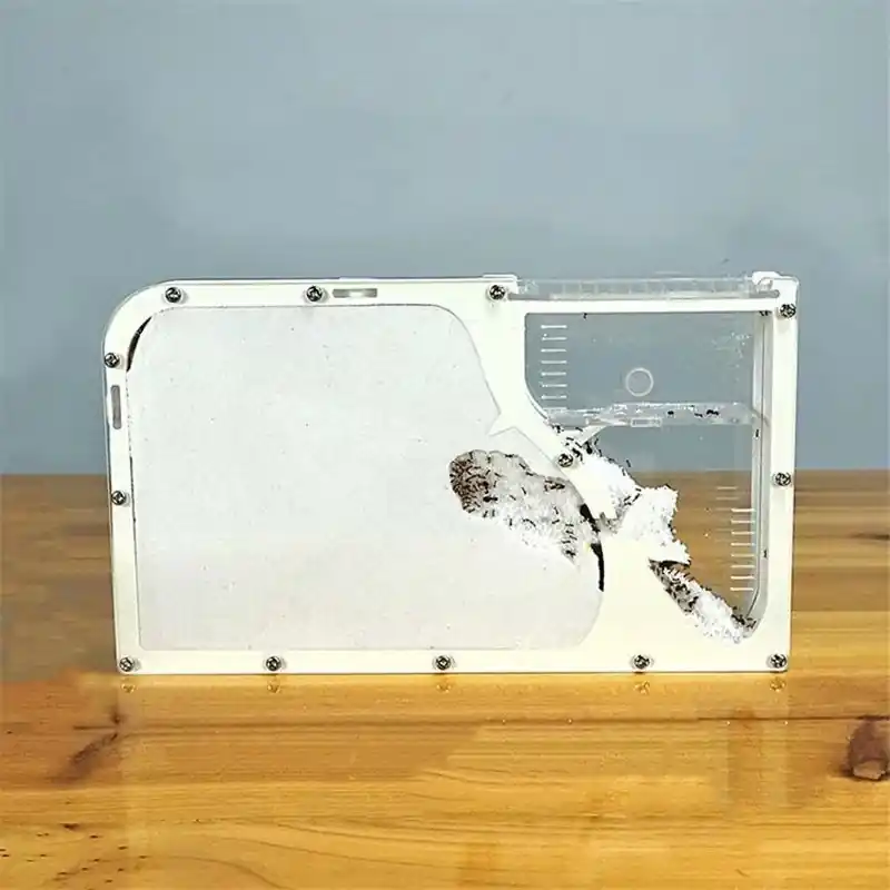 Large Acrylic Ant Farm Nest Ecofriendly Insect Workshop Habitat