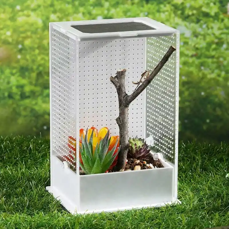 Acrylic Reptile Terrarium Transparent Breeding Cage Mantis Insect Feeding Box