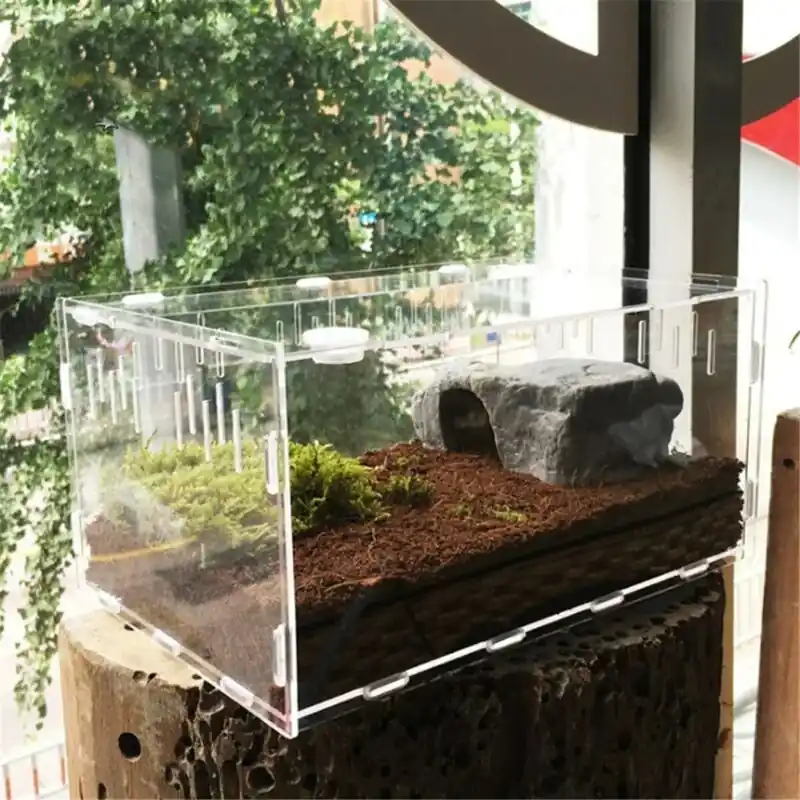 Acrylic Reptile Terrarium Transparent Breeding Box For Lizards Spiders Tortoises