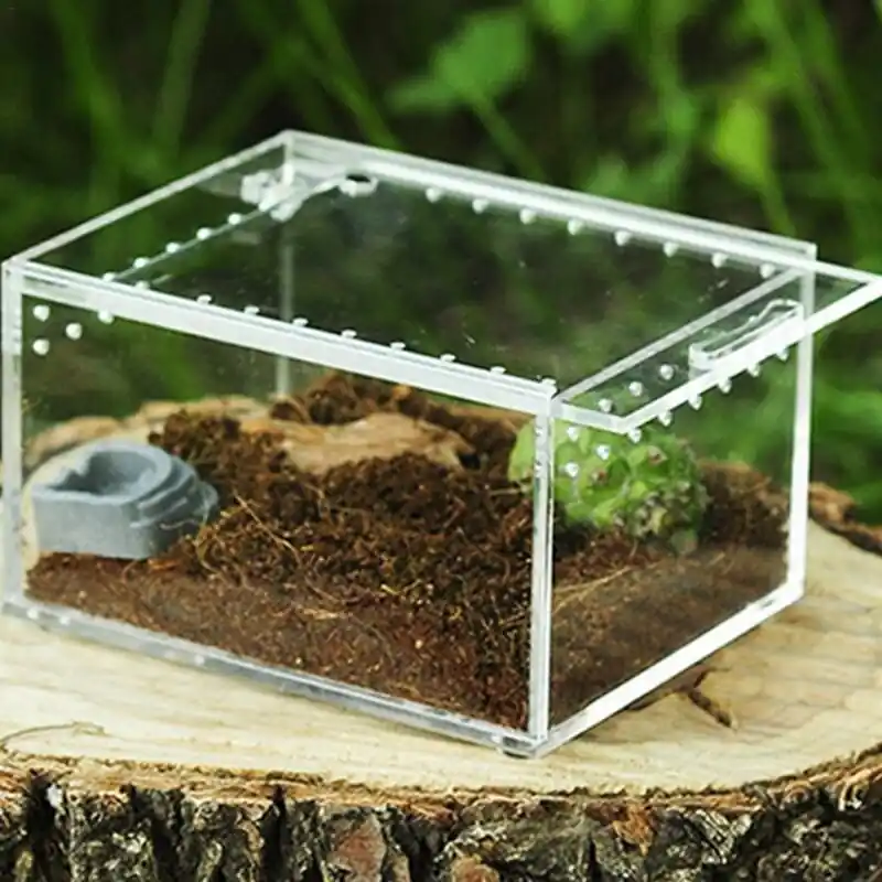 Acrylic Reptile Breeding Box With Transparent Sliding Cover For Tortoise Lizard Spiders