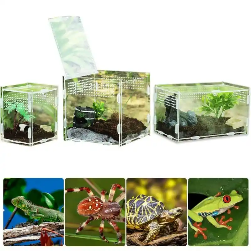 Acrylic Reptile Breeding Box Transparent Terrarium For Spiders Scorpions Mantis