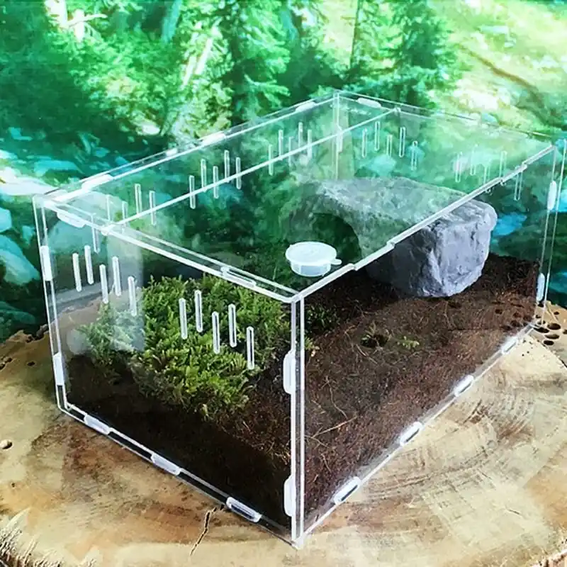 Acrylic Reptile Terrarium Transparent Breeding Box For Small Pets Insects