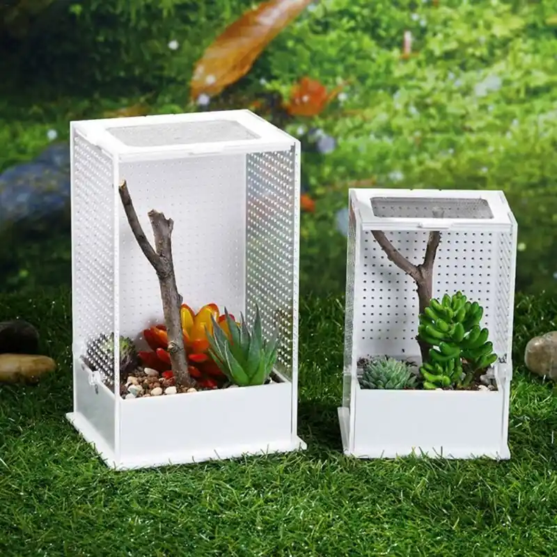 Acrylic Reptile Terrarium Transparent Breeding Cage For Insects Praying Mantis