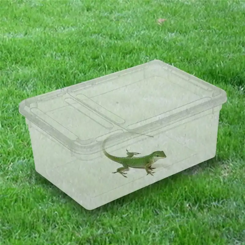 Reptile Terrarium Transparent Habitat For Lizards Spiders Ants Scorpions