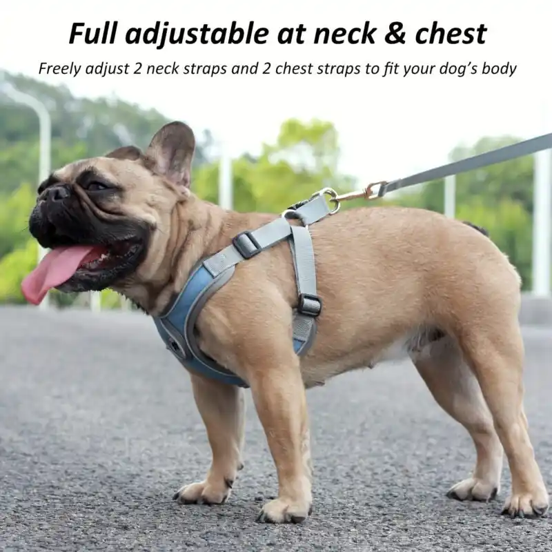 Adjustable Reflective Dog Harness Leash Set For Smallmedium Dogs