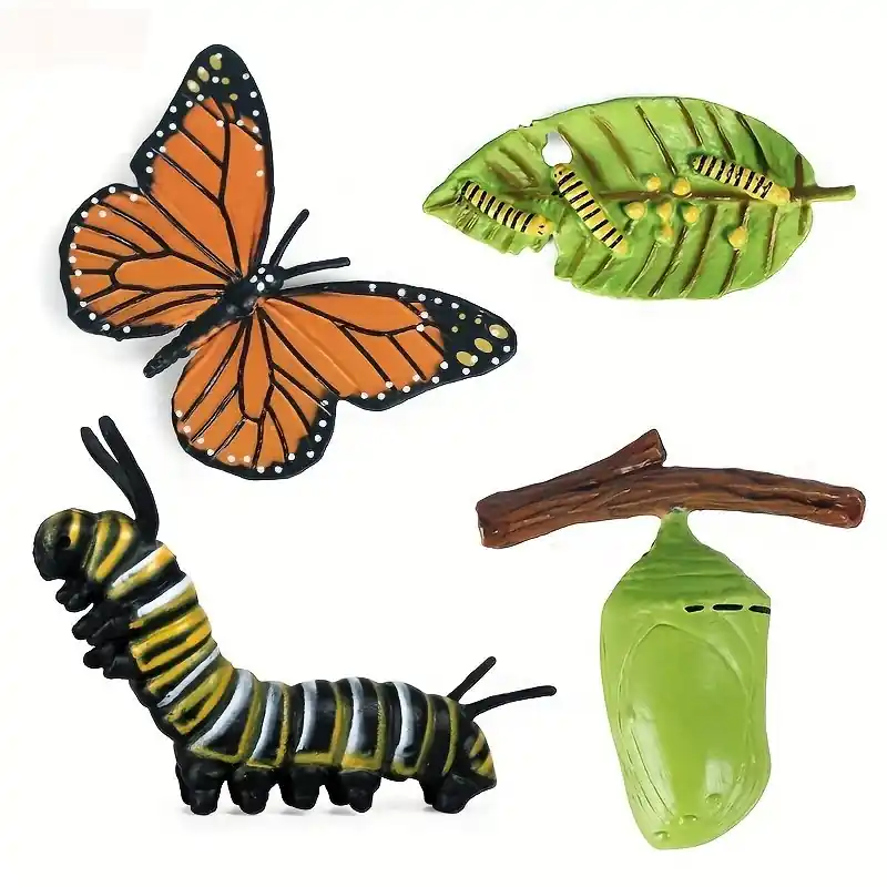 Monarch Butterfly Life Cycle Educational Kit 4pcs Teaching Tools For Kids