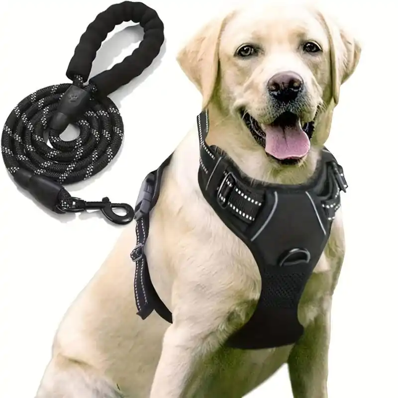 Night Safety Reflective Dog Harness Leash Set Stylish Comfort