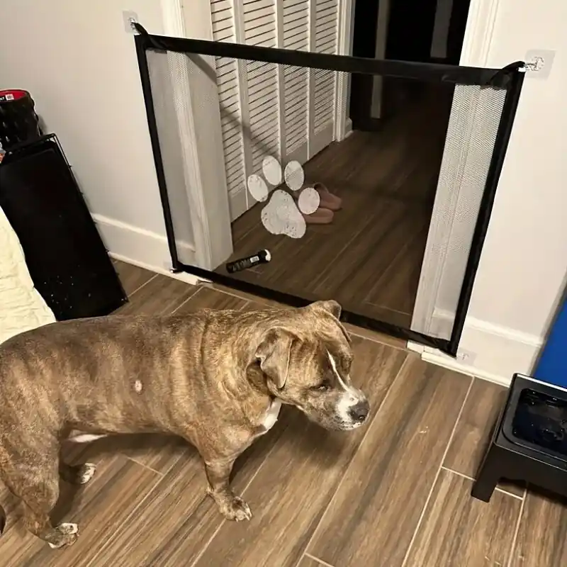 Portable Folding Pet Safety Gate Dog Isolation Mesh Protection Fence