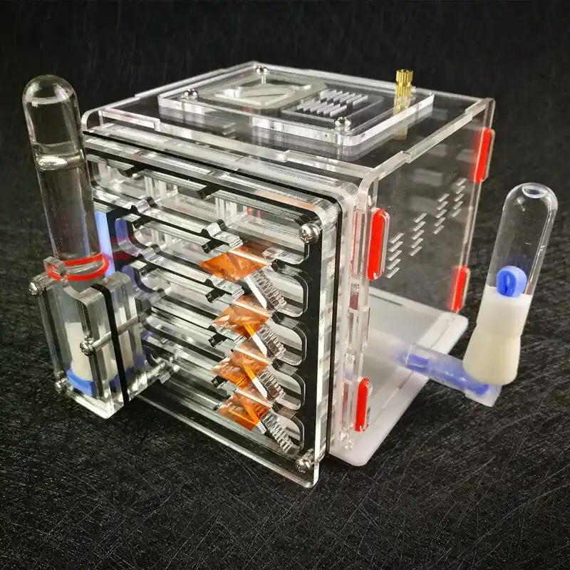 4th Floor Acrylic Ant Farm Live Ant Habitat With Water Workshop