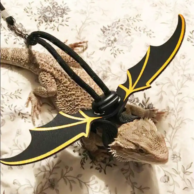 Adjustable Bearded Dragon Lizard Leash Reptile Outdoor Walking Harness Rope