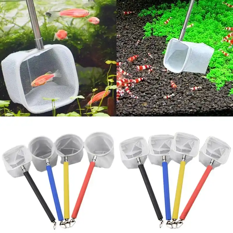 Adjustable 3d Mini Stainless Steel Fish Tank Net For Shrimp Catching