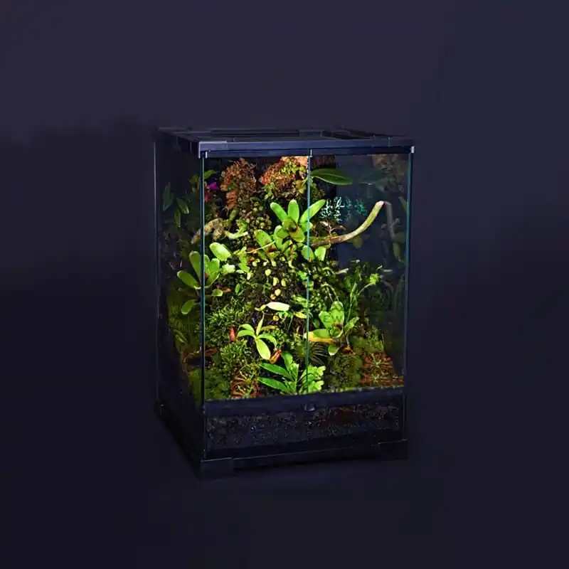 Reptile Terrarium Tank For Snakes Turtles And Lizards