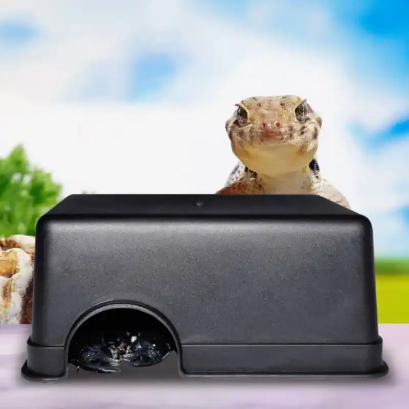 Deluxe Reptile Habitat Box For Turtles Durable Spacious