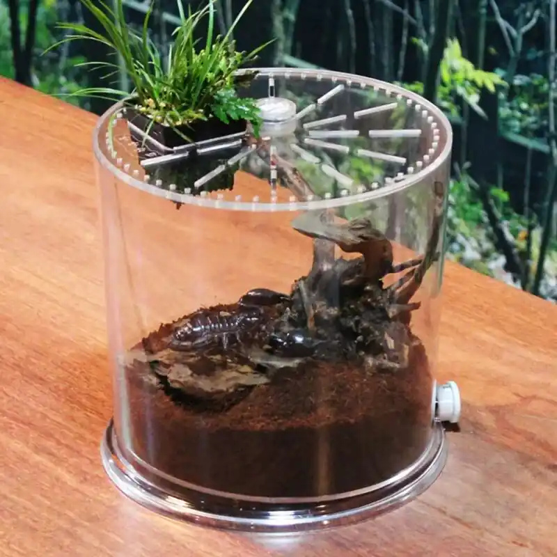 Acrylic Transparent Desktop Aquarium For Fish Turtle And Reptile Breeding
