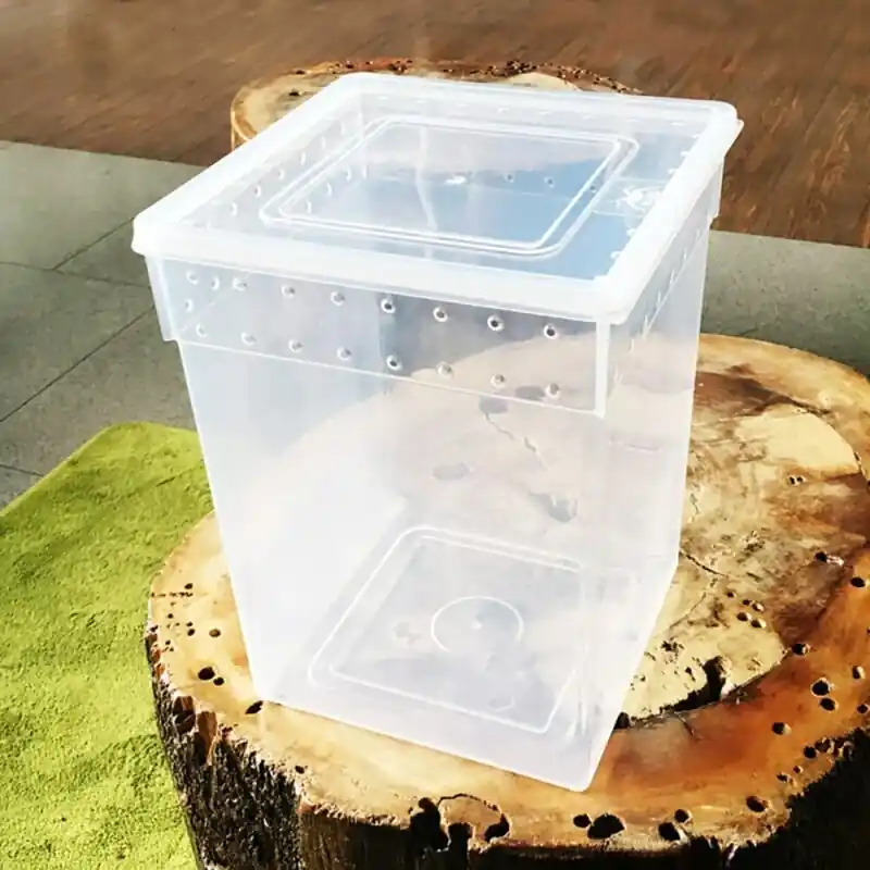 Transparent Reptile Terrarium For Chameleons Tree Frogs Spiders And Lizards