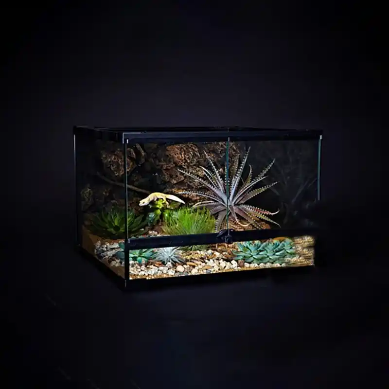 Reptile Terrarium Rainforest Tank For Lizard Snake Turtle Chameleon Breeding