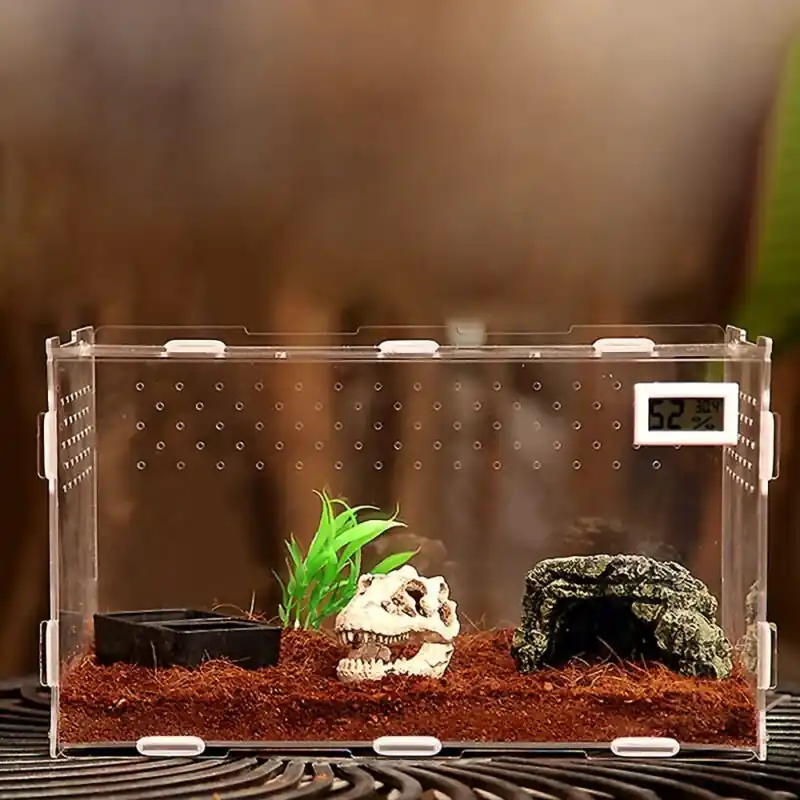 Acrylic Reptile Terrarium Kit With Substrate Water Bowl Artificial Plant