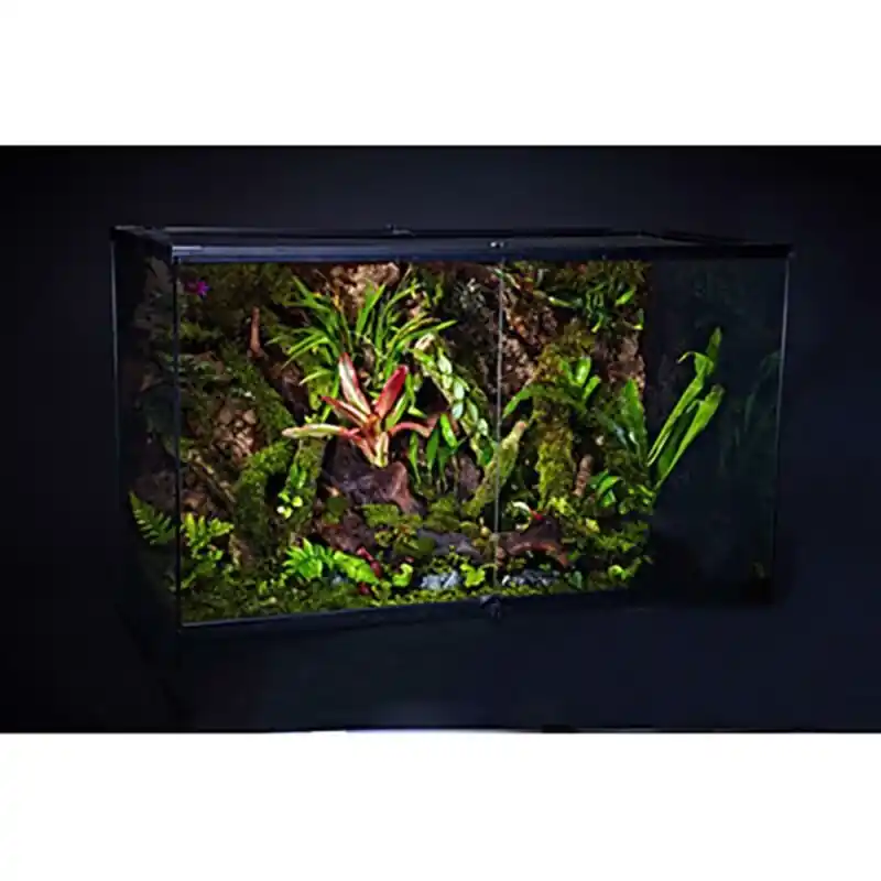Reptile Terrarium Tank For Lizard Snake Turtle Breeding Landscaping