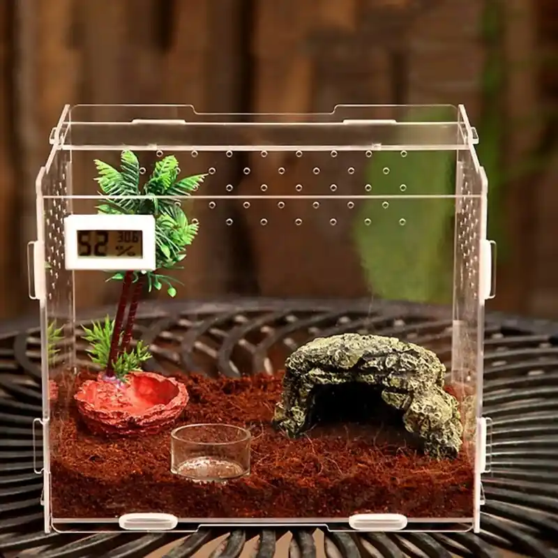 Acrylic Reptile And Insect Feeding Box Kit For Terrarium Habitats