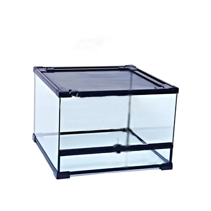 Reptile Terrarium Tank For Lizards Snakes Turtles Landscaping Included