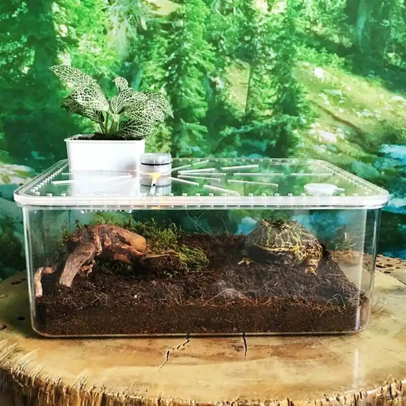 Compact Acrylic Reptile Breeding Box Ideal For Spiders Scorpions Hatchlings