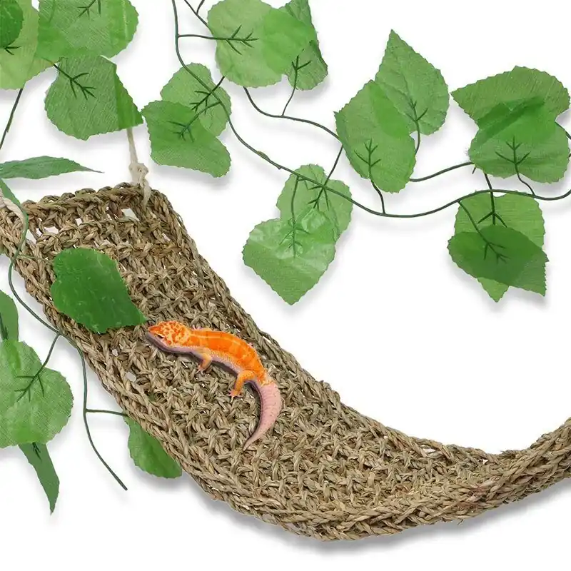 Bearded Dragon Hammock Reptile Lounger For Iguanas Geckos Hermit Crabs