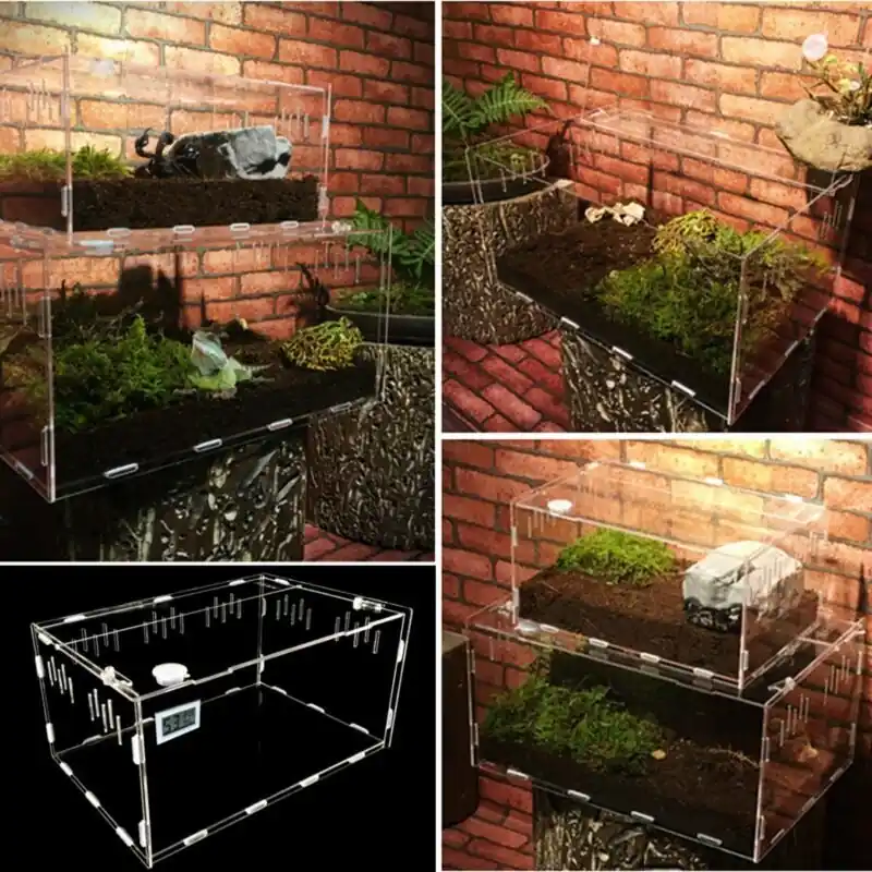 Acrylic Reptile Terrarium For Breeding Lizards Spiders Tortoise Sl Size