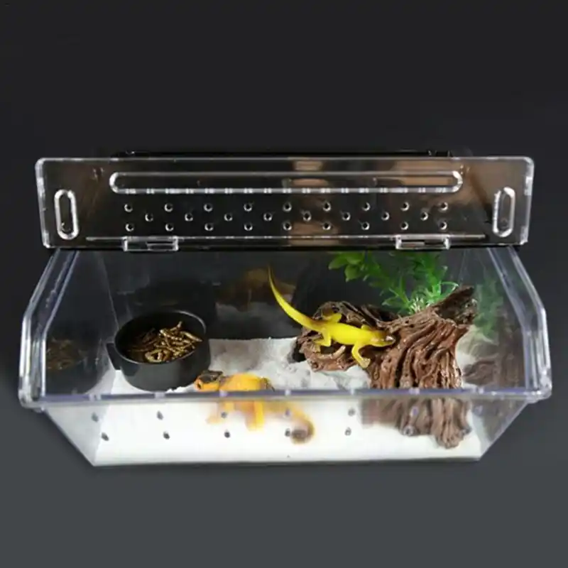 Nonslip Reptile Insect Breeding Box For Snakes Lizards Scorpions More