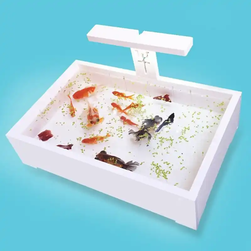 Acrylic Small Desktop Tank For Betta Fish Turtles Scorpions Spider Breeding