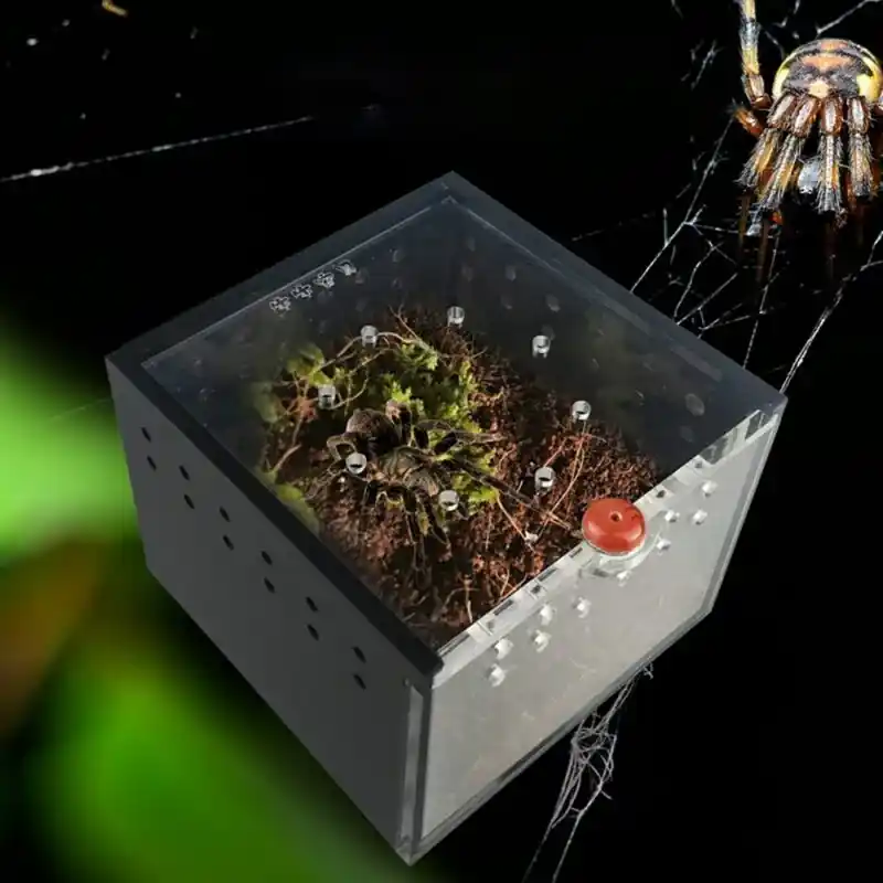 Black Acrylic Insect Palace For Baby Lizard Scorpion Beetle Spider Pets