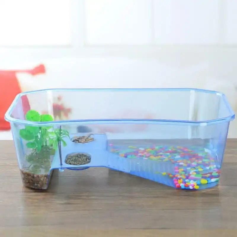 Transparent Turtle Aquarium With Drying Platform For Brazilian Tortoise Breeding