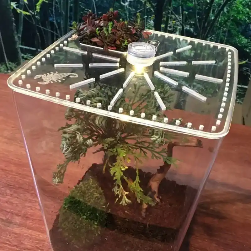 Acrylic Reptile Breeding Box For Spider Scorpion Transparent Desktop Incubator