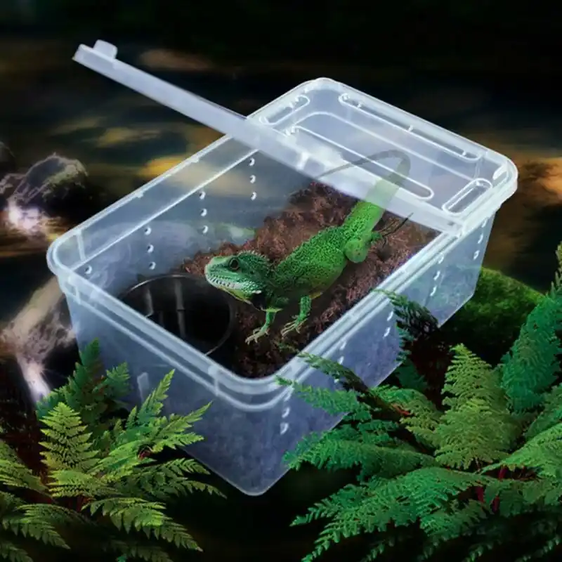 Clear Acrylic Reptile Terrarium Portable Feeding Habitat Box
