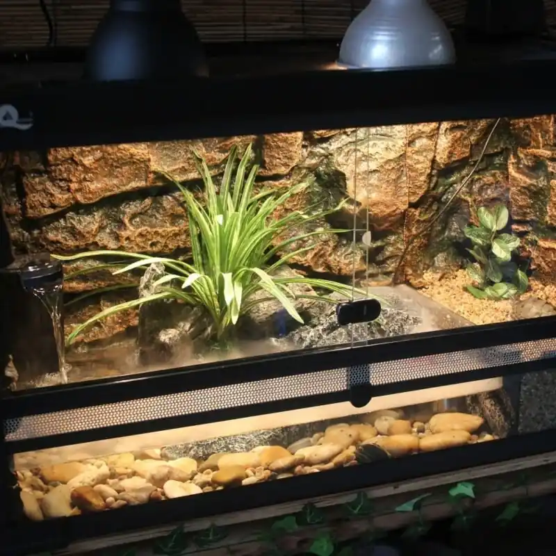 Rainforest Vivarium Turtle Tank Kit For Salamanders Tree Frogs Includes Filter Light Basking Platform