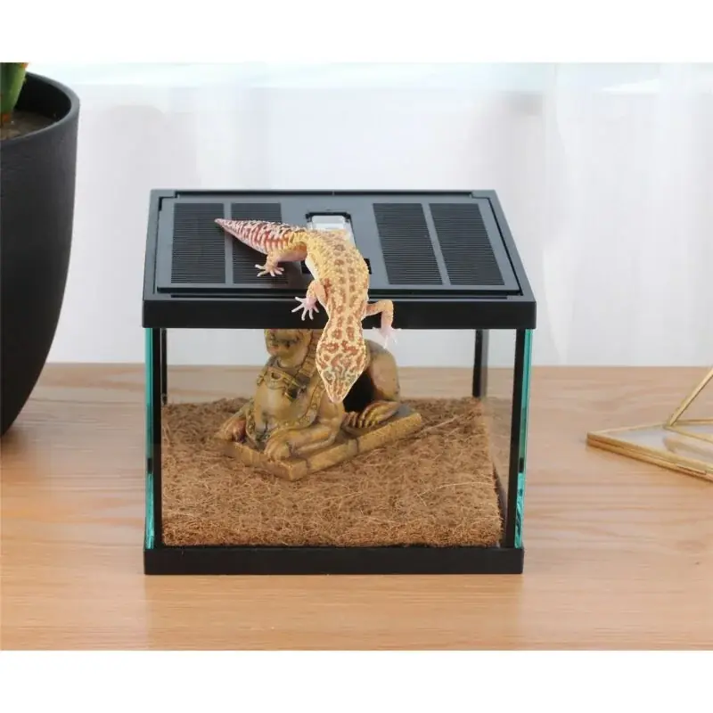 Crystal Glass Reptile Cage Sphinx Desert Style Ideal For Lizards Spiders