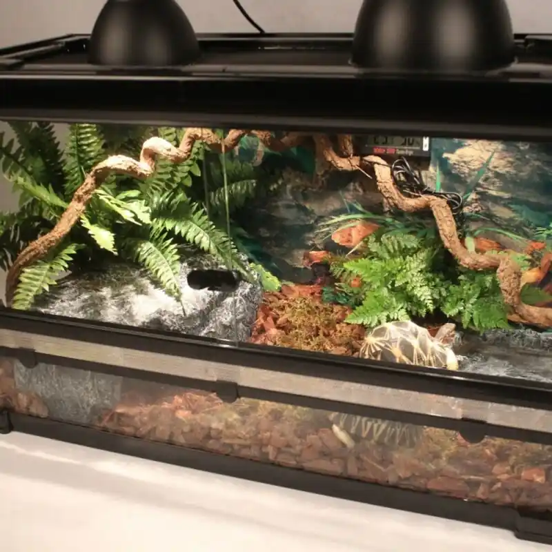 Deluxe Reptile Habitat Kit Vivarium Hideaway Cave Water Plate Bark Substrate