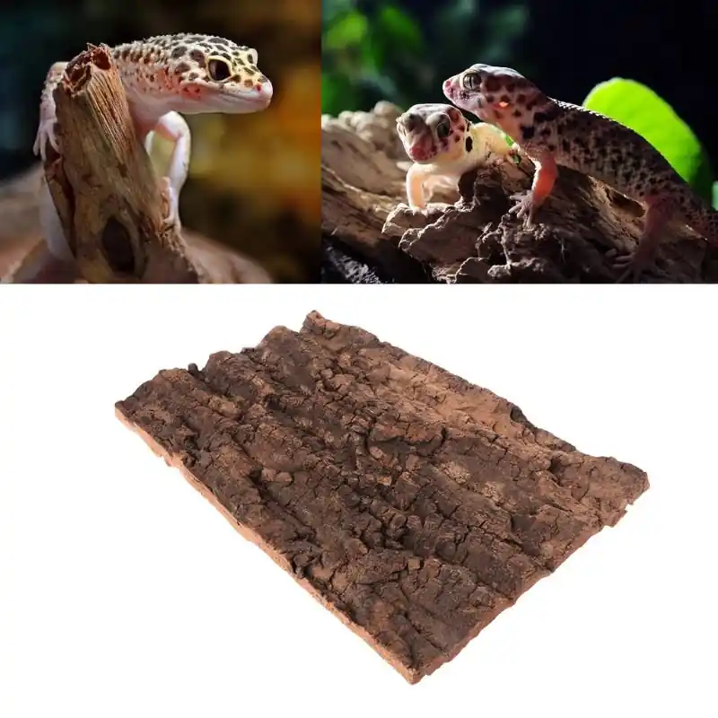 Cork Bark Reptile Terrarium For Spider Breeding Climbing