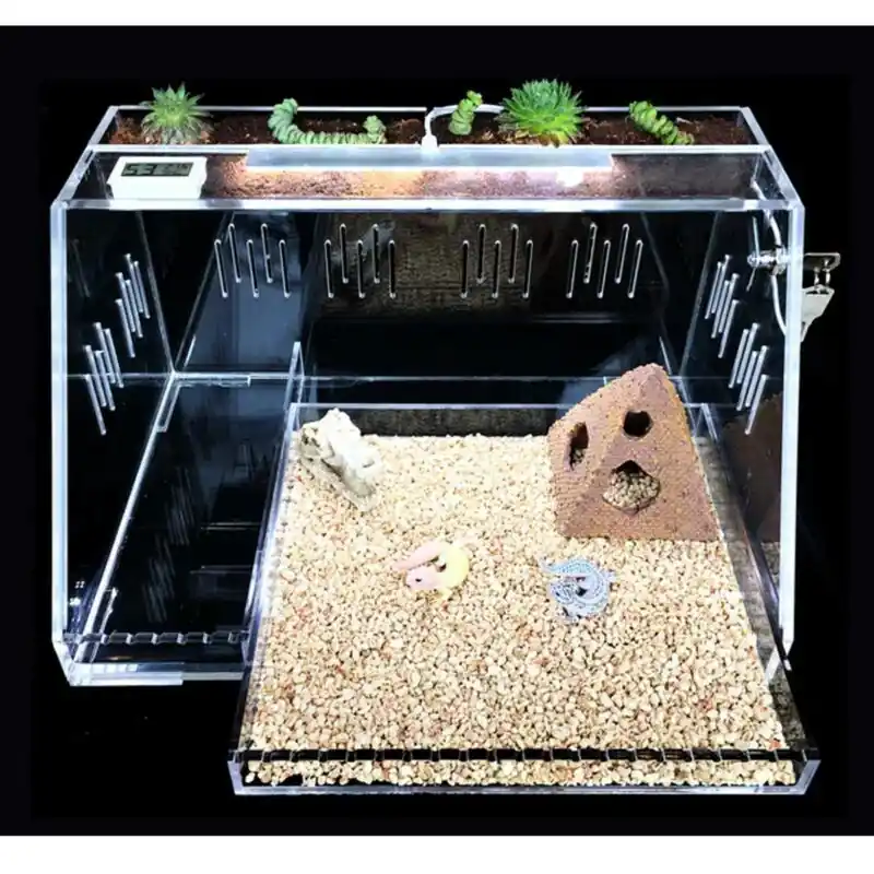 Acrylic Reptile Cage With Light Transparent Breeding Box For Lizards Spiders Insects