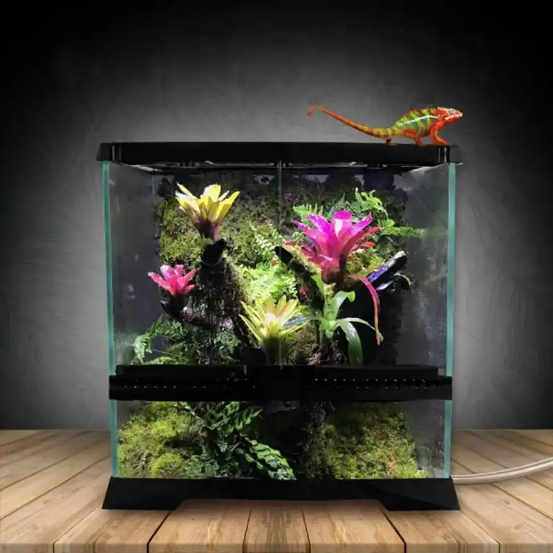 Black Glass Terrarium For Reptiles Lizards Geckos Chameleons Tropical Rainforest Landscaping